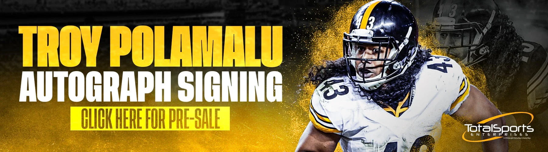 Own Pittsburgh Sports History